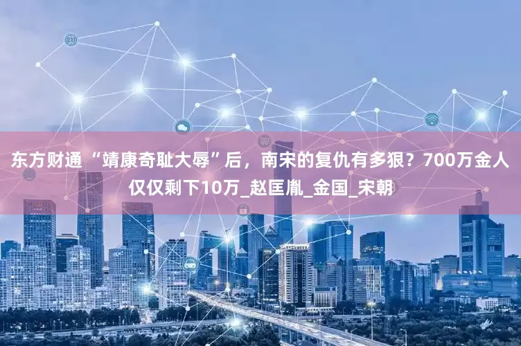 东方财通 “靖康奇耻大辱”后，南宋的复仇有多狠？700万金人仅仅剩下10万_赵匡胤_金国_宋朝