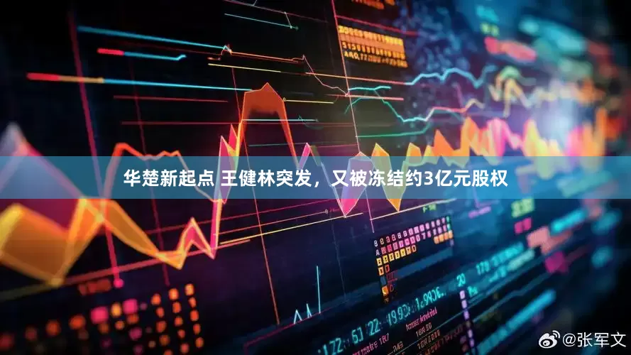 华楚新起点 王健林突发，又被冻结约3亿元股权