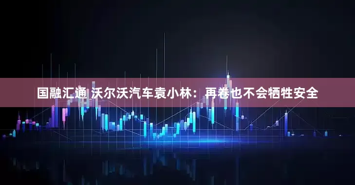 国融汇通 沃尔沃汽车袁小林：再卷也不会牺牲安全