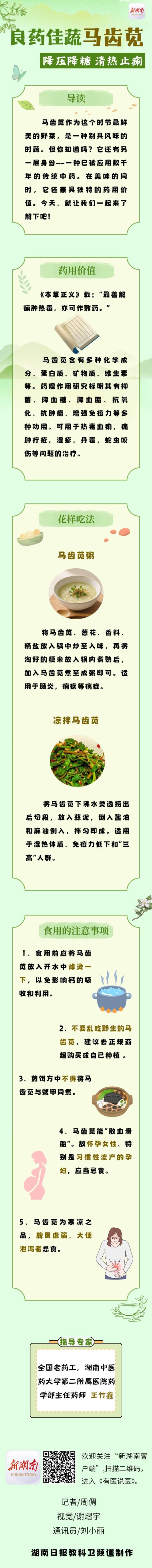 合优投资 “医”图读懂|“良药佳蔬”马齿苋